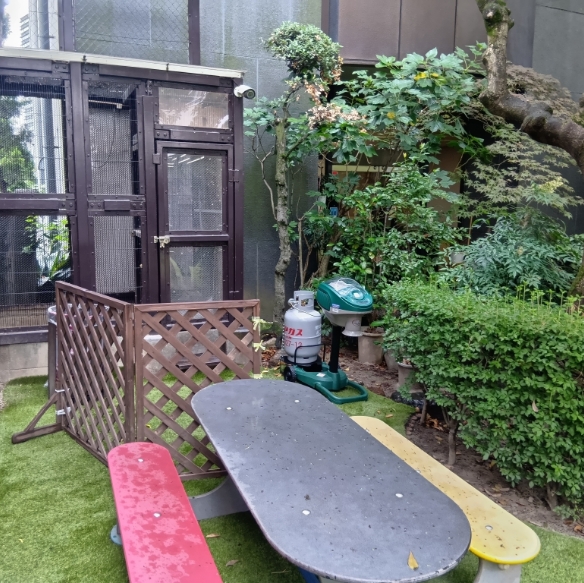 東桜幼稚園様でのモスキートマグネット利用例写真。緑の多い園庭の隅にモスキートマグネットが置かれている。